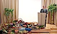 За какво използваш свободата си?
